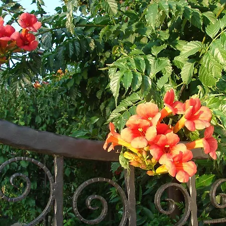 Holiday home Casa Sole *