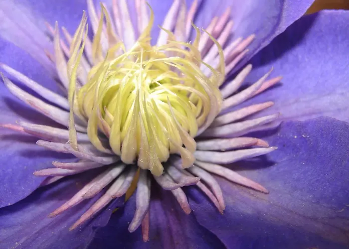 Casa Sole Hébergement de vacances