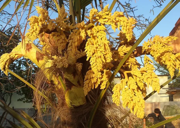Hébergement de vacances Casa Sole